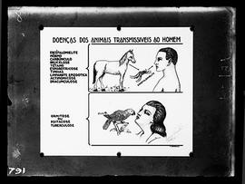 Reprodução de quadro de doença dos animais transmissíveis ao homem (Fotografia solicitada por Ces...