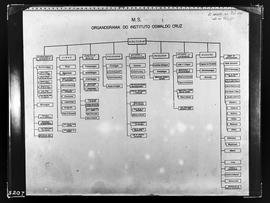 Reprodução do organograma do Instituto Oswaldo Cruz (Duplicata)