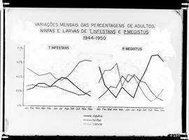 Gráfico - Variações mensais de porcentagem de adultos, ninfas e larvas e T. infestans e P. megist...