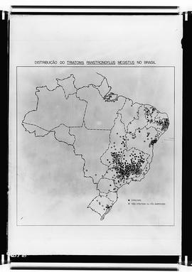 Reprodução mapa do Brasil mostrando a distribuição do Panstrongylus megistus (Fotografia solicita...