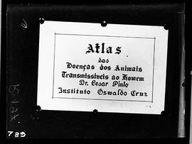 Reprodução de quadro "Atlas das doenças dos animais transmissíveis ao homem" (Fotografi...
