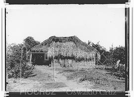 Habitação com teto de palha, circundado por vegetação