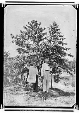 Souza-Araújo e pessoa não identificada examinando árvore