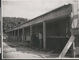 Operários trabalhando nas obras do Sanatório de Curicica