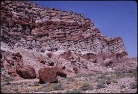 Red Rock Canyon Mojave desert