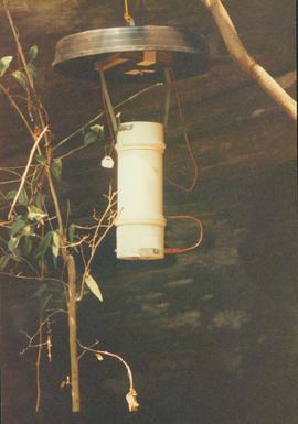 Armadilha utilizadas para a captura de insetos