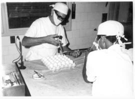 Fabricação de vacina Anti-variólica em ovo. Rio de Janeiro.