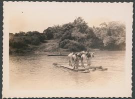 Balsa atravessando equinos no rio Correntes