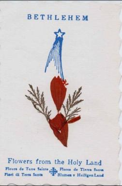 Cartão de natal de Sophie Jakowska para Dyrce Lacombe
