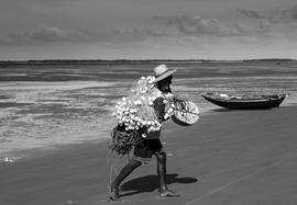 Pescador em praia de Alcântara (MA)