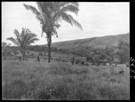 Panorama de uma fazenda onde houve pesquisas de campo perto de Caldas novas