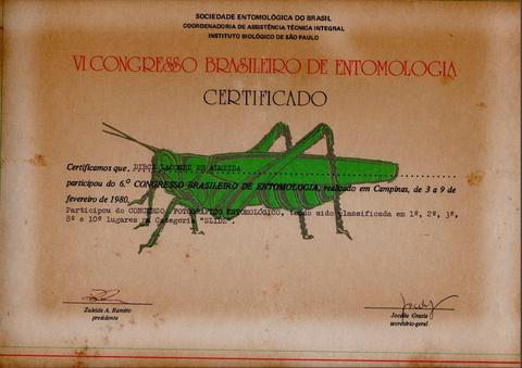 Certificado de participação no Concurso Fotográfico Entomológico do VI Congresso Brasileiro de En...