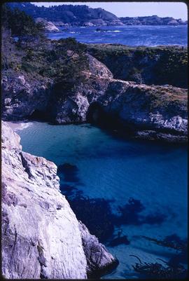 Parque de Point Lobos