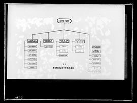 Reprodução do organograma do Instituto Oswaldo Cruz