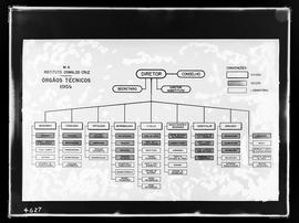 Reprodução do organograma do Instituto Oswaldo Cruz