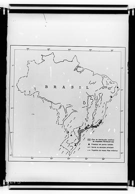 Reprodução de mapa do Brasil mostrando a área de distribuição contínua de Anopheles (Kerteszia) s...