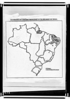 Reprodução de mapa mostrando a distribuição do Triatoma maculata no Brasill (Fotografia solicitad...