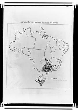Reprodução de mapa mostrando a distribuição do  Triatoma infestans no Brasil (Fotografia solicita...