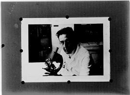 Antônio Eugênio Arêa-Leão ao microscópio