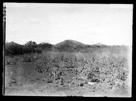 Imagens do Rio São Francisco acima de Juazeiro