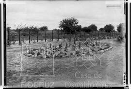 Vista geral do canteiro de cactáceas existente no Horto Agrícola