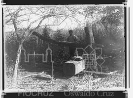 Prensa empregada no fabrico da farinha de mandioca