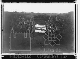 Cacimba, na localidade chamada Lago, próximo ao município de Remanso