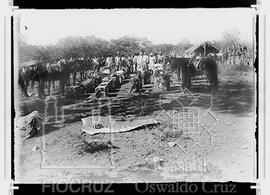 Acampamento: participantes da expedição junto às bagagens e animais