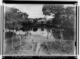 Quintal inundado por um "olho d' água"