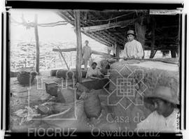 Homens trabalhando a farinha sob teto de palha. Casa da farinha: fazenda do Alegre