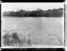 Lagoa com vegetação em ambas as margens