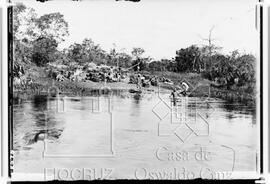 Cabeceiras do Rio Preto: preparativos para passagem das bagagens da expedição