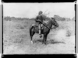 Vaqueiro das caatingas