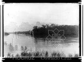 Boca do Acre: Rio Purús