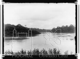 Boca do Acre, Rio Purús