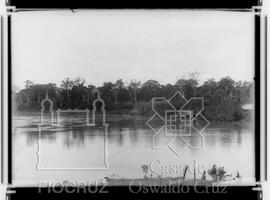 Boca do Acre, Rio Purús