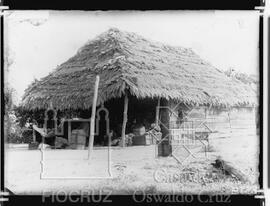 Habitação de tábuas de madeira e teto de palha
