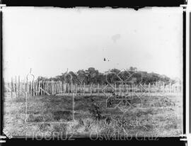 Curral sem criação
