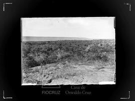 Paisagem com vegetação e ao fundo, pequeno trecho da Lagoa de Parnaguá