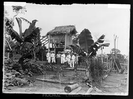 Construção apoiada em piloto de madeira, teto de palha e paredes cobertas de tela, cientistas da ...