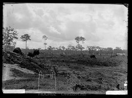 Vista panorâmica da cidade - Rio Branco, Rio Acre
