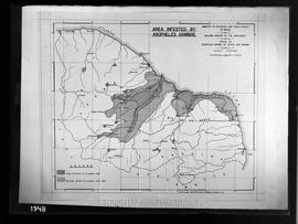 Área infestada pelo Anopheles gambiae - 1938, 1939 e 1940