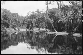 Lateral do lago artificial na Fazenda Comarí - Teresópolis (RJ)