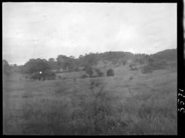 Panorama de uma fazenda onde houve pesquisas de campo perto de Caldas novas
