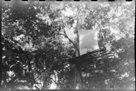 Mosquiteiro "B" visto por outro ângulo, na Fazenda Boa Fé - Teresópolis (RJ)