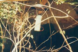 Armadilha utilizadas para a captura de insetos