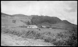 Casa na Fazenda Colina onde José Tartarino adoeceu e faleceu de Febre Amarela - Passos (MG)
