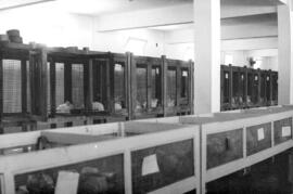 Inventário fotográfico da deterioração das instalações do Biotério