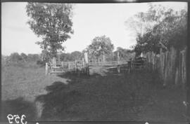 Cerca no pasto localizado em frente à casa de Augusto José Ferreira - Frutal (MG)