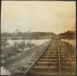 Pantanal na cheia, água chegando próximo aos trilhos da estrada de ferro